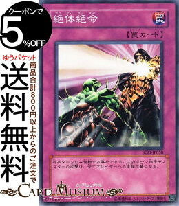 �V�Y���J�[�h ��̐▽(�m�[�}��) SOUL OF THE DUELISTSOD Yugioh! | �V�Y�� �J�[�h �\�E���E�I�u�E�U�E�f���G���X�g �ʏ��