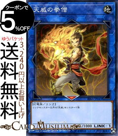 遊戯王カード 天威の拳僧(ノーマル) ライジング・ランペイジRIRA Yugioh! | 遊戯王 カード リンクモンスター 地属性 幻竜族 ノーマル