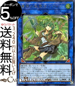 VYJ[h ̕g EB(V[NbgA) CWOEyCWRIRA Yugioh! | VY J[h NEʃX^[  @g V[Nbg A