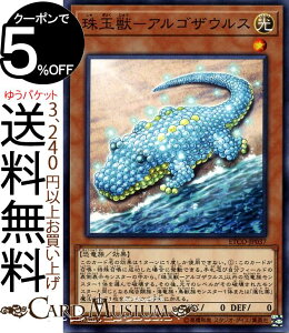 VYJ[h ʏb|ASUEX m[} ETERNITY CODE ETCO Yugioh! | VY J[h G^[jeBER[h ʃX^[   m[}