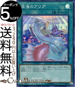 VYJ[h [C̃AA X[p[A ETERNITY CODE ETCO Yugioh! | VY J[h G^[jeBER[h ʏ햂@ X[p[ A