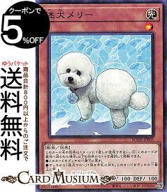 楽天市場 犬 遊戯王の通販