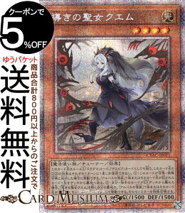 VYJ[h ̐NG(vY}eBbNV[NbgA) CYBERSTORM ACCESS(TCo[Xg[EANZX)iCYACj | `[i[EʃX^[  @g