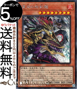 �V�Y���J�[�h �[���̑����� �V�[�N���b�g���A PHOTON HYPERNOVA PHHY Yugioh! | �V�Y�� �J�[�h �t�H�g���E�n�C�p�[�m���@ ���ʃ����X�^�[ ������ ������ �V�[�N���b�g ���A