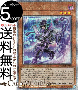 VYJ[h obNAbvCOjX^[(25th V[NbgA) ALLIANCE INSIGHTiALINj | ACAXECTCg `[i[EʃX^[ ő TCo[X