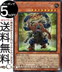 VYJ[h N̖肩o߂l(V[NbgA) CtBjbgEtHrhDiINFOj | ʃX^[ n bm V[Nbg A