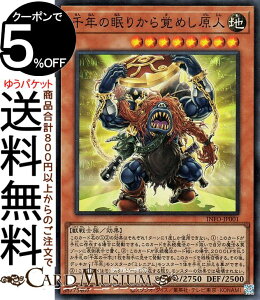 VYJ[h N̖肩o߂l(X[p[A) CtBjbgEtHrhDiINFOj | ʃX^[ n bm X[p[ A