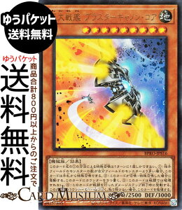 VYJ[h  uX^[LmERA(EgA) o[XgEvgRiBPROj | ʃX^[ n @B Eg A