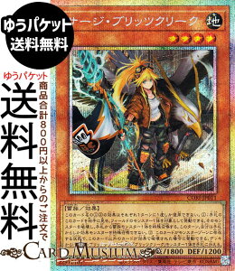 �V�Y���J�[�h �T�[�W�E�u���b�c�N���[�N(�v���Y�}�e�B�b�N�V�[�N���b�g���A) CHAOS ORIGINS�iCORI�j | ���ʃ����X�^�[ �n���� ���� �v���Y�}�e�B�b�N�V�[�N���b�g ���A