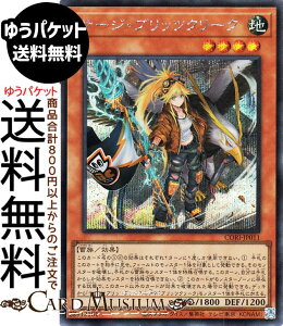 �V�Y���J�[�h �T�[�W�E�u���b�c�N���[�N(�V�[�N���b�g���A) CHAOS ORIGINS�iCORI�j | ���ʃ����X�^�[ �n���� ���� �V�[�N���b�g ���A