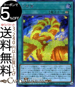 トレーディングカード th Anniversary Box Collection Legendの人気商品 通販 価格比較 価格 Com