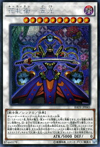 VYJ[h ԎDq - ܌ - V[Nbg A CWOEeyXg RATE YuGiOh! | VY J[h ԎDq-܌- J[fBA ő m V[NbgA