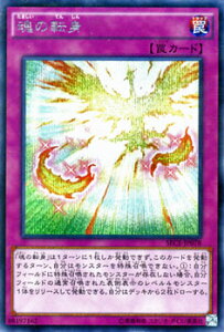 VYJ[h ̓]g V[Nbg A U V[Nbg Iu G{[V SECE YuGiOh! | VY J[h V[Nbg A ʏ