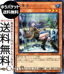 �V�Y���J�[�h ����g���G���A(�V�[�N���b�g���A) THE CHRONICLES DECK ����p�̎g����iCH02�j | ���o�[�X�E���ʃ����X�^�[ ������ ���@�g���� �V�[�N���b�g ���A