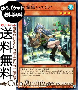 �V�Y���J�[�h ����g���G���A(�X�[�p�[���A) THE CHRONICLES DECK ����p�̎g����iCH02�j | ���o�[�X�E���ʃ����X�^�[ ������ ���@�g���� �X�[�p�[ ���A