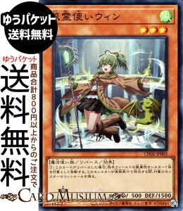 �V�Y���J�[�h ����g���E�B��(�X�[�p�[���A) THE CHRONICLES DECK ����p�̎g����iCH02�j | ���o�[�X�E���ʃ����X�^�[ ������ ���@�g���� �X�[�p�[ ���A