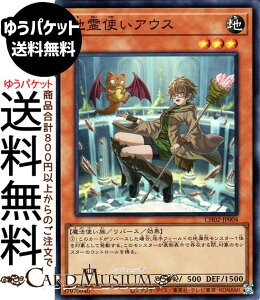 �V�Y���J�[�h �n��g���A�E�X(�X�[�p�[���A) THE CHRONICLES DECK ����p�̎g����iCH02�j | ���o�[�X�E���ʃ����X�^�[ �n���� ���@�g���� �X�[�p�[ ���A