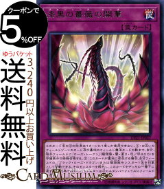 楽天市場 ブラック ローズ ドラゴンの通販