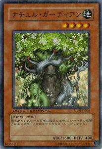 VYJ[h i`EK[fBA X[p[A fG ^[~i ̃WXeBX!! DT03 YuGiOh! | VY J[h i` K[fBA n A X[p[ A
