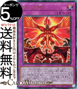 VYJ[h 傢Ȃ鍰(AeBbgA) HISTORY ARCHIVE COLLECTION HC01 Yugioh! | VY J[h qXg[A[JCuRNV ʏ [t AeBbg A