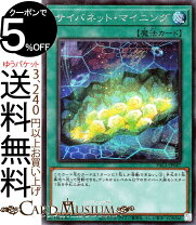 楽天市場】プリズマティック アートコレクション boxの通販 プリズマティックアートコレクションboxなどの余りシク