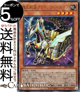 VYJ[h OtCOEyKTX(AeBbgA) SELECTION 5 SLF1 Yugioh! | VY J[h ZNV5 ʃX^[ n @B [t AeBbg A