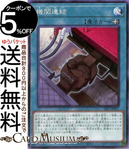 VYJ[h @֘A(m[}) SELECTION 5 SLF1 Yugioh! | VY J[h ZNV5 @ m[}