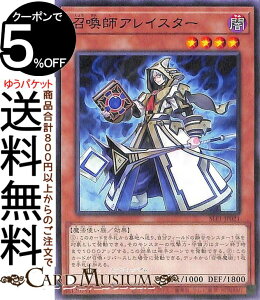 VYJ[h tACX^[(m[}) SELECTION 5 SLF1 Yugioh! | VY J[h ZNV5 ʃX^[ ő @g m[}