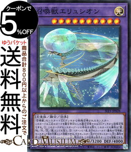 VYJ[h bGVI(X[p[A) SELECTION 5 SLF1 Yugioh! | VY J[h ZNV5 ZEʃX^[  Vg X[p[ A