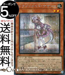 VYJ[h hSChEiT[(V[NbgA) SELECTION 5 SLF1 Yugioh! | VY J[h ZNV5 ʃX^[ n hS V[Nbg A