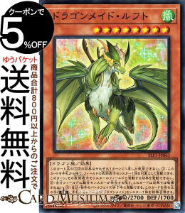 VYJ[h hSChEtg(X[p[A) SELECTION 5 SLF1 Yugioh! | VY J[h ZNV5 ʃX^[  hS X[p[ A
