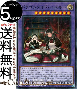 VYJ[h hSChEnXL[(VKCXg)(m[}p) SELECTION 5 SLF1 Yugioh! | VY J[h ZNV5 ZEʃX^[  hS m[}p