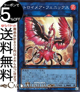 VYJ[h gCAEtFjbNX(X[p[A) SELECTION 5 SLF1 Yugioh! | VY J[h ZNV5 NEʃX^[   X[p[ A