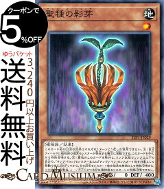最も欲しかった フリー 遊戯王 カード 素材 Hd壁紙画像fhd 最も欲しかった フリー 遊戯王 カード 素材 Hd壁紙画像fhd