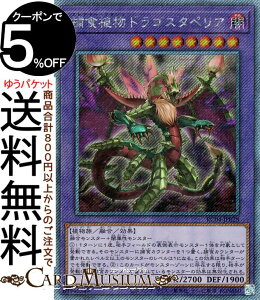 VYJ[h ߐHAhSX^yA(GNXgV[NbgA) RARITY COLLECTION QUARTER CENTURY EDITION iRC04j | vf^[ vc ZEʃX^[ ő A GNXgV[N