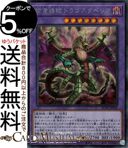 VYJ[h ߐHAhSX^yA(V[NbgA) RARITY COLLECTION QUARTER CENTURY EDITION iRC04j | vf^[ vc ZEʃX^[ ő A V[Nbg A