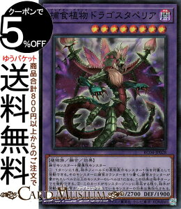 VYJ[h ߐHAhSX^yA(X[p[A) RARITY COLLECTION QUARTER CENTURY EDITION iRC04j | vf^[ vc ZEʃX^[ ő A X[p[ A