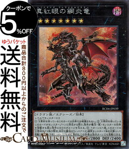 VYJ[h ^g̍|(V[NbgA) RARITY COLLECTION QUARTER CENTURY EDITION iRC04j | bhACY tA^hS GNV[YEʃX^[ ő hS V[Nbg