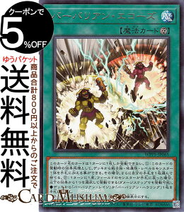 �V�Y���J�[�h �o�[�o���A���E�G�R�[�Y(���A) WORLD PREMIERE PACK 2024�iWPP5�j | �i�����@ ���A
