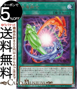 �V�Y���J�[�h ���w�Z��(���A) WORLD PREMIERE PACK 2024�iWPP5�j | �ʏ햂�@ ���A