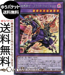 �V�Y���J�[�h �������R�m�|�u���b�N�E�L���o�����[(�V�[�N���b�g���A) LIMIT OVER COLLECTION - THE HEROES -�iLOCH�j |�@ �Z���E���ʃ����X�^�[ �ő��� ���@�g���� �V�[�N���b�g ���A