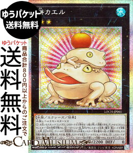 �V�Y���J�[�h �݃J�G��(�v���Y�}�e�B�b�N�V�[�N���b�g���A) LIMIT OVER COLLECTION - THE HEROES -�iLOCH�j |�@ �G�N�V�[�Y�E���ʃ����X�^�[ ������ ���� �v���Y�}�e�B�b�N�V�[�N���b�g ���A