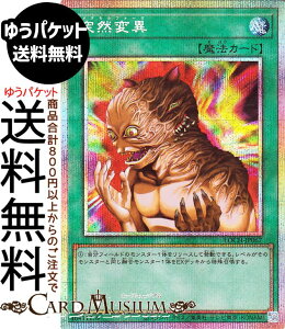 �V�Y���J�[�h �ˑR�ψ�(�v���Y�}�e�B�b�N�V�[�N���b�g���A) LIMIT OVER COLLECTION - THE HEROES -�iLOCH�j |�@���^�����t�H�[�[ �ʏ햂�@�@ �v���Y�}�e�B�b�N�V�[�N���b�g ���A