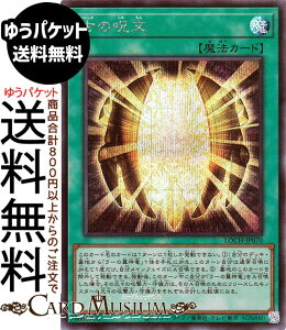 �V�Y���J�[�h �Â̎���(�V�[�N���b�g���A) LIMIT OVER COLLECTION - THE HEROES -�iLOCH�j |�@ �ʏ햂�@�@ �V�[�N���b�g ���A