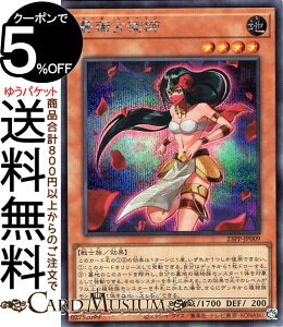 VYJ[h KNpt(V[NbgA) PREMIUM PACK 2023i23PPj | ʃX^[ n m V[Nbg A