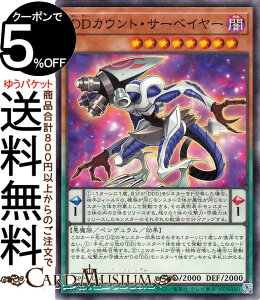 VYJ[h DDJEgET[xC[(m[}p) PREMIUM PACK 2025i25PPj | yfEʃX^[ ő  m[}p