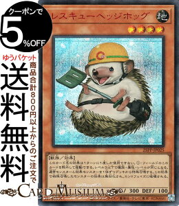 VYJ[h XL[wbWzbO(bhV[NbgA) PREMIUM PACK 2025i25PPj | ʃX^[ n b bhV[Nbg A