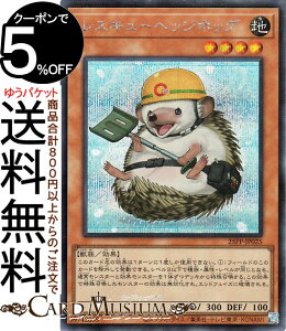 VYJ[h XL[wbWzbO(V[NbgA) PREMIUM PACK 2025i25PPj | ʃX^[ n b V[Nbg A