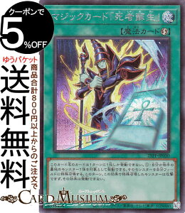 VYJ[h }WbNJ[hґh(V[NbgA) PREMIUM PACK 2025i25PPj | U@ V[Nbg A