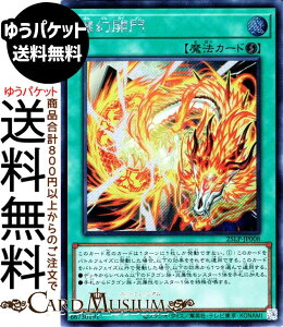 VYJ[h WJ(V[NbgA) LIMITED PACK WORLD CHAMPIONSHIP 2025i25LPj | U@ V[Nbg A